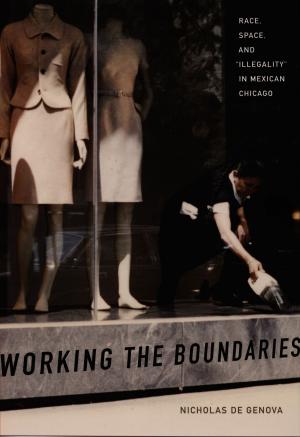 Cover of the book Working the Boundaries by Lisa Rofel, Judith Halberstam, Lisa Lowe
