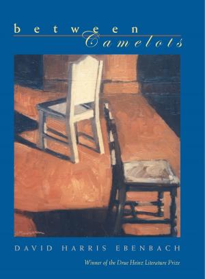Book cover of Between Camelots