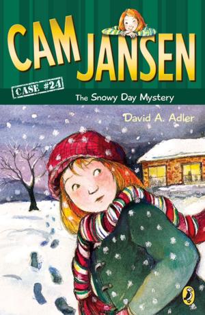 Cover of the book Cam Jansen: The Snowy Day Mystery #24 by Roger Hargreaves