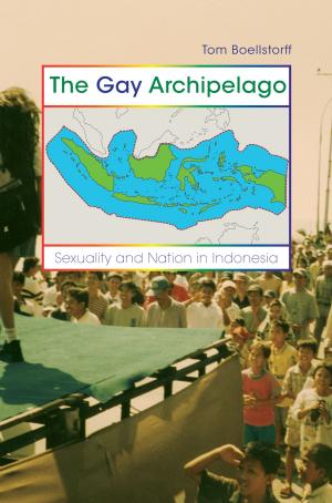 Book cover of The Gay Archipelago