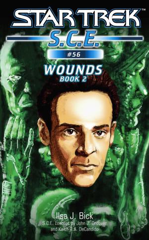 Cover of the book Star Trek: Wounds, Book 2 by Warren Dunn