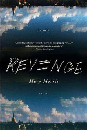 Cover of the book Revenge by Ruthie Robinson