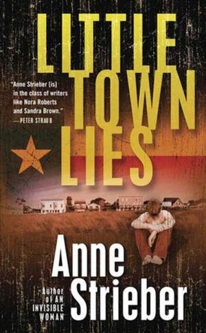 Cover of the book Little Town Lies by Gene Wolfe