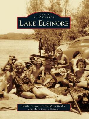 Cover of the book Lake Elsinore by Bob Kane, Trish Kane
