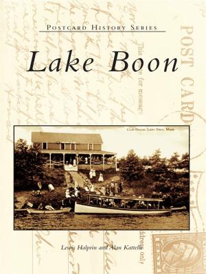 Cover of the book Lake Boon by Bridget Oates