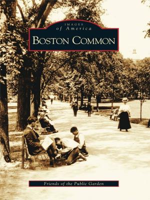 Cover of the book Boston Common by Ernest Dollar