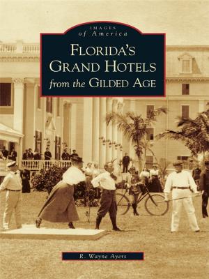 Cover of the book Florida's Grand Hotels from the Gilded Age by Constance L. McCart Ed.D., Friends of the Margaret E. Heggan Free Public Library