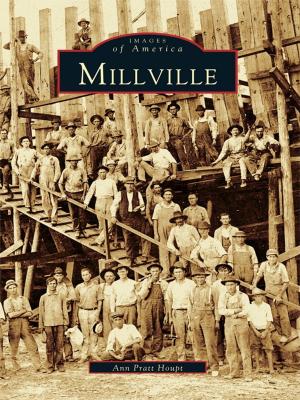 Cover of the book Millville by Bruce D. Heald Ph.D.