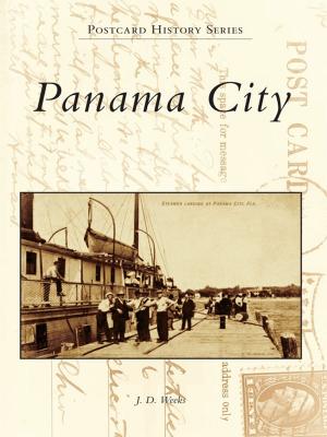 Cover of the book Panama City by Edward P. Fynmore, Harney J. Corwin