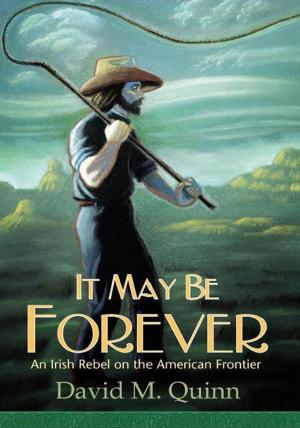 Cover of the book It May Be Forever by Barbara Gail Barker
