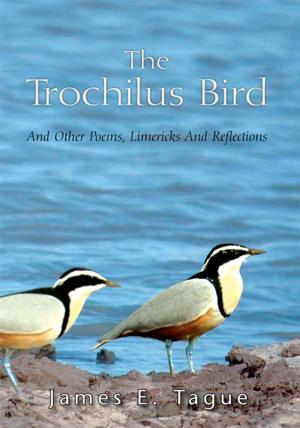 Cover of the book The Trochilus Bird by Margaret Adkins