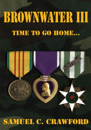 Cover of the book Brownwater Iii by Hunter Hammond