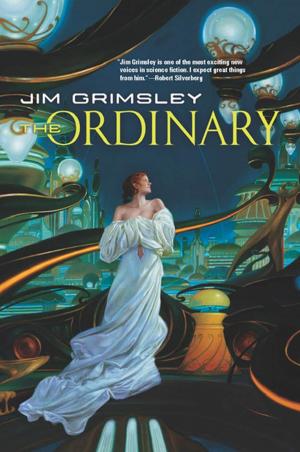 Cover of the book The Ordinary by Jim Grimsley