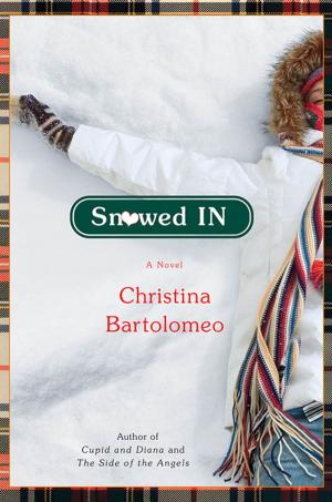 Cover of the book Snowed In by Jonathan Stone