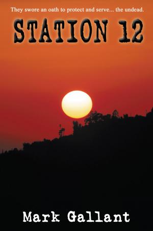 Cover of the book Station 12 by Jean Marie Rusin