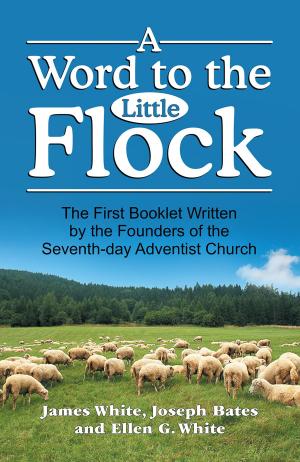 Cover of the book Word to the Little Flock, A by Don Keele, Jr