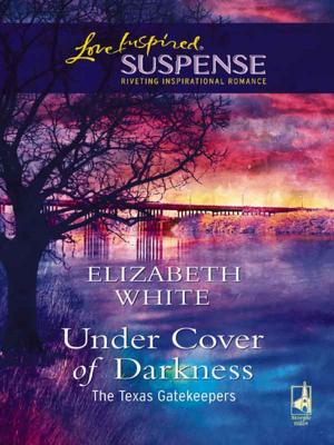 Cover of the book Under Cover of Darkness by Catherine Palmer