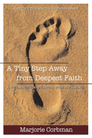 Cover of the book Tiny Step Away from Deepest Faith by Lonni Collins Pratt, Fr. Daniel Homan OSB