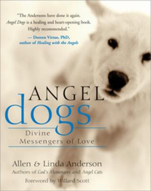 Cover of the book Angel Dogs by Bruce Weinstein, PhD