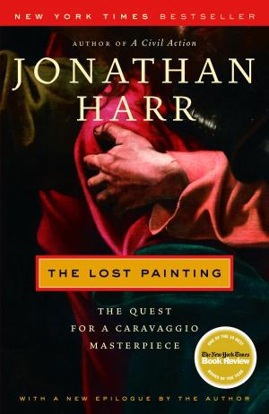 Book cover of The Lost Painting