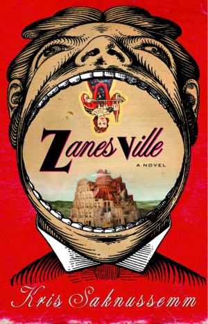 Cover of the book Zanesville by Sandra Chastain