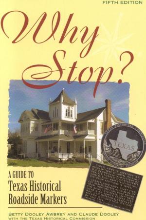 Cover of the book Why Stop? by John L. Bullion