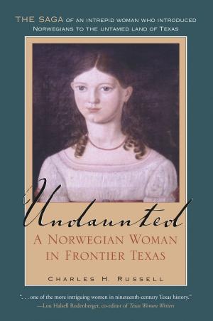 Cover of the book Undaunted by Houston Faust Mount  II II
