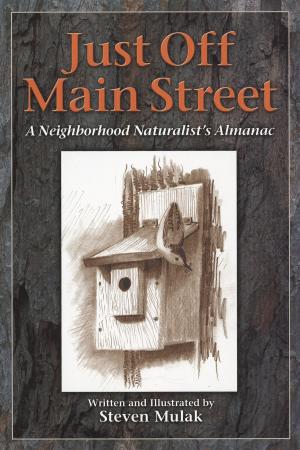 Cover of the book Just Off Main Street by Silvio Calabi, Steve Helsley, Roger Sanger