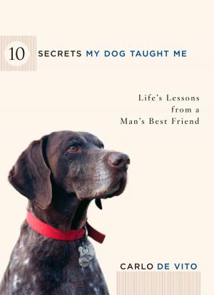 Book cover of 10 Secrets My Dog Taught Me