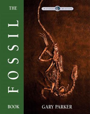 Cover of the book The Fossil Book by Tim Chaffey, Ken Ham, Bodie Hodge