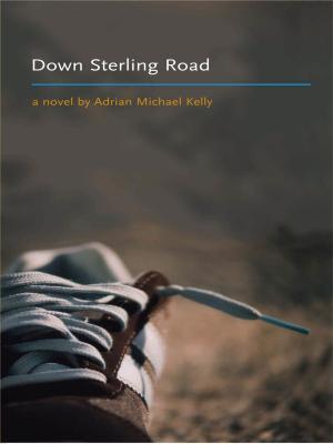 bigCover of the book Down Sterling Road by 
