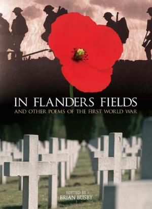 Cover of the book In Flanders Fields by Allen Carr