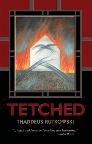 Cover of the book Tetched by Barry Petersen