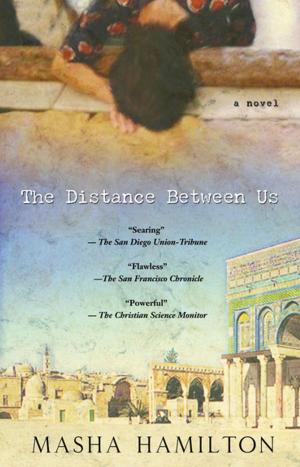 Cover of the book The Distance Between Us by Timothy Schaffert