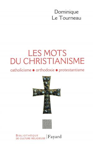 Cover of the book Les mots du Christianisme by Alain Peyrefitte