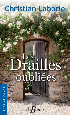 Cover of the book Les Drailles oubliées by Christian Laborie