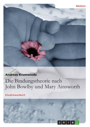 Cover of the book Die Bindungstheorie nach John Bowlby und Mary Ainsworth by Stefan Siebigke