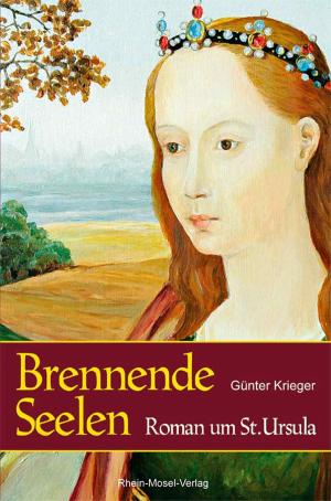 Cover of the book Brennende Seelen by Franz-Josef Dosio