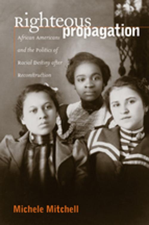 Cover of the book Righteous Propagation by Michele Mitchell, The University of North Carolina Press