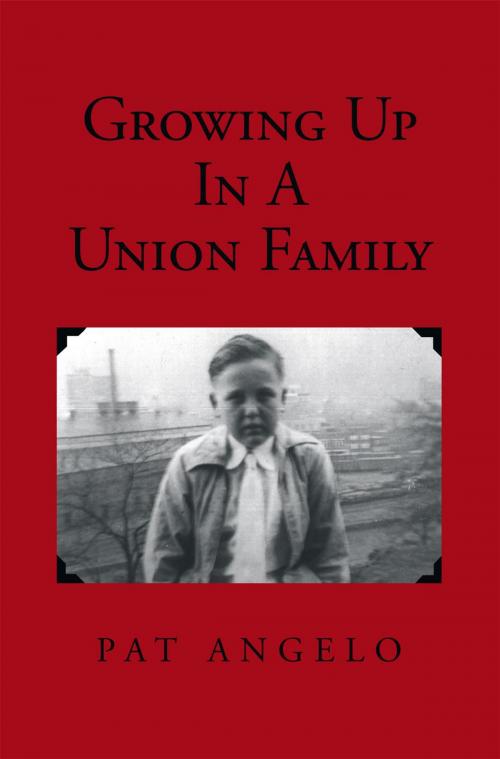 Cover of the book Growing up in a Union Family by Pat Angelo, Xlibris US