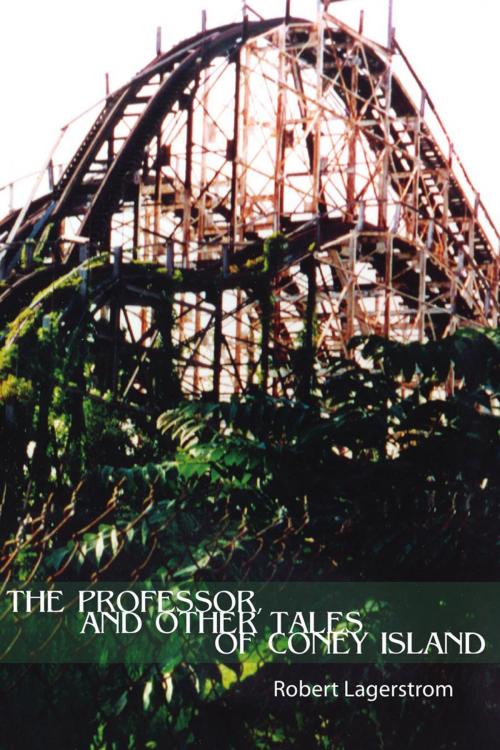 Cover of the book The Professor, and Other Tales of Coney Island by Robert Lagerstrom, Xlibris US