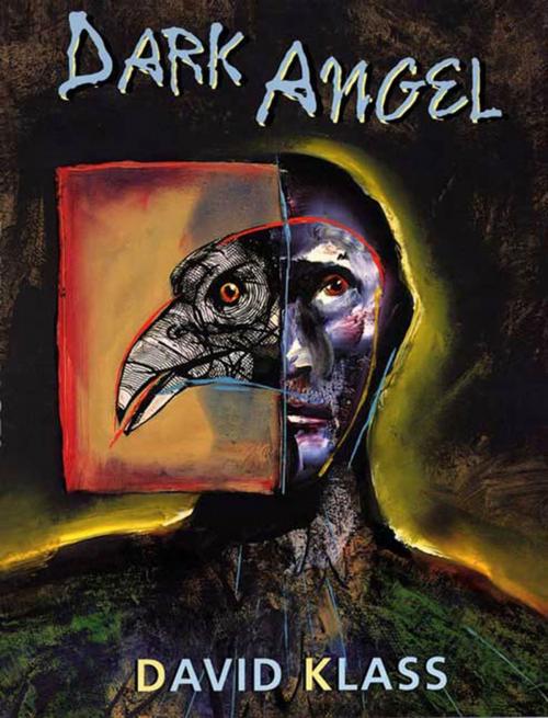 Cover of the book Dark Angel by David Klass, Farrar, Straus and Giroux (BYR)
