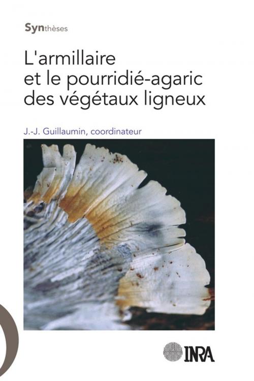 Cover of the book L'armillaire et le pourridié-agaric des végétaux ligneux by Jean-Jacques Guillaumin, Quae