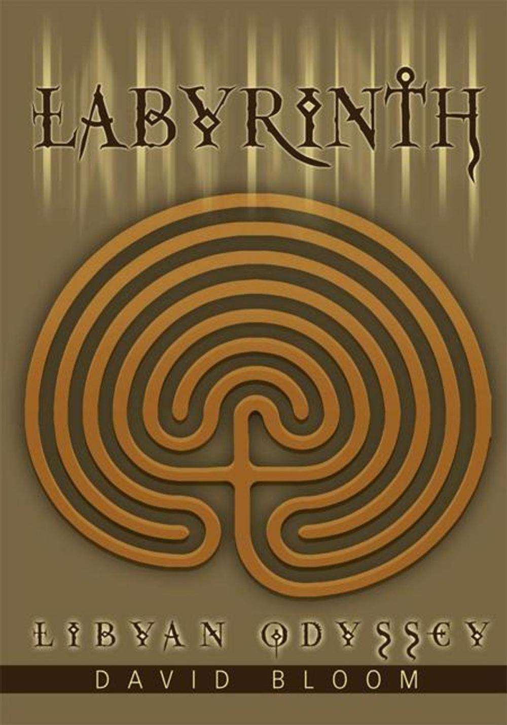 Big bigCover of Labyrinth