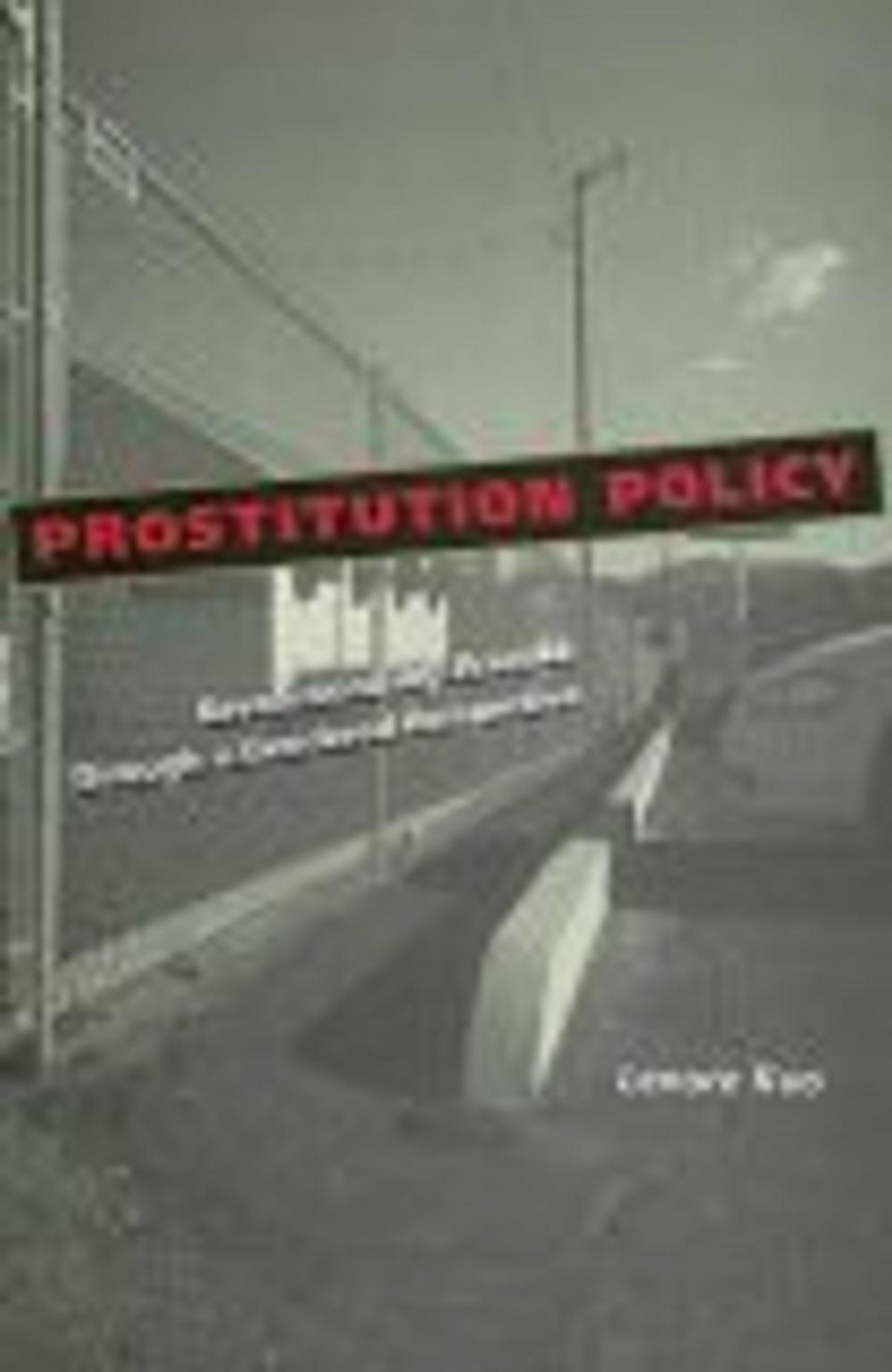 Big bigCover of Prostitution Policy