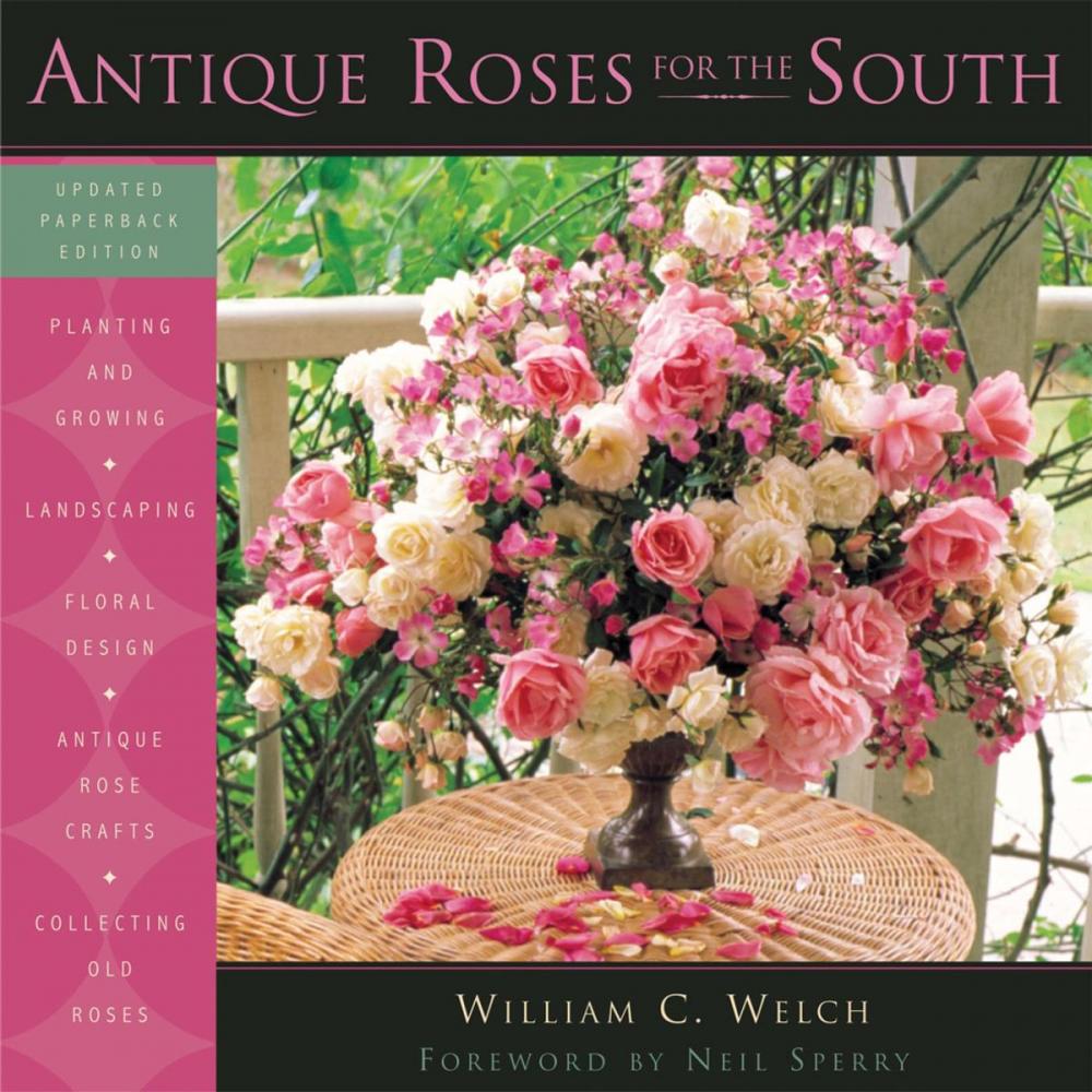 Big bigCover of Antique Roses for the South