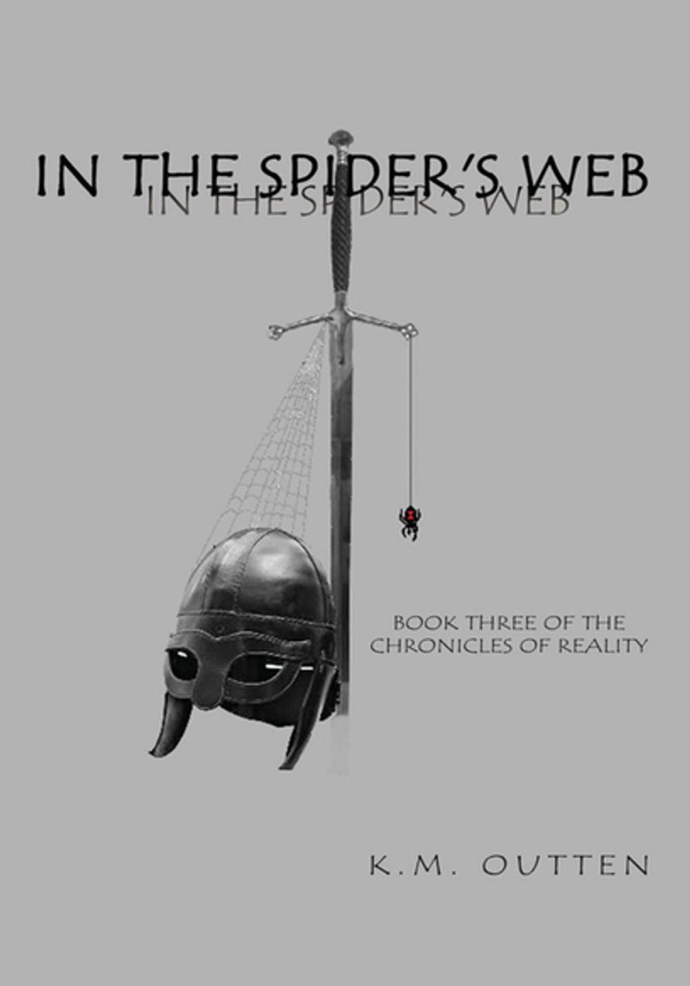 Big bigCover of In the Spider's Web