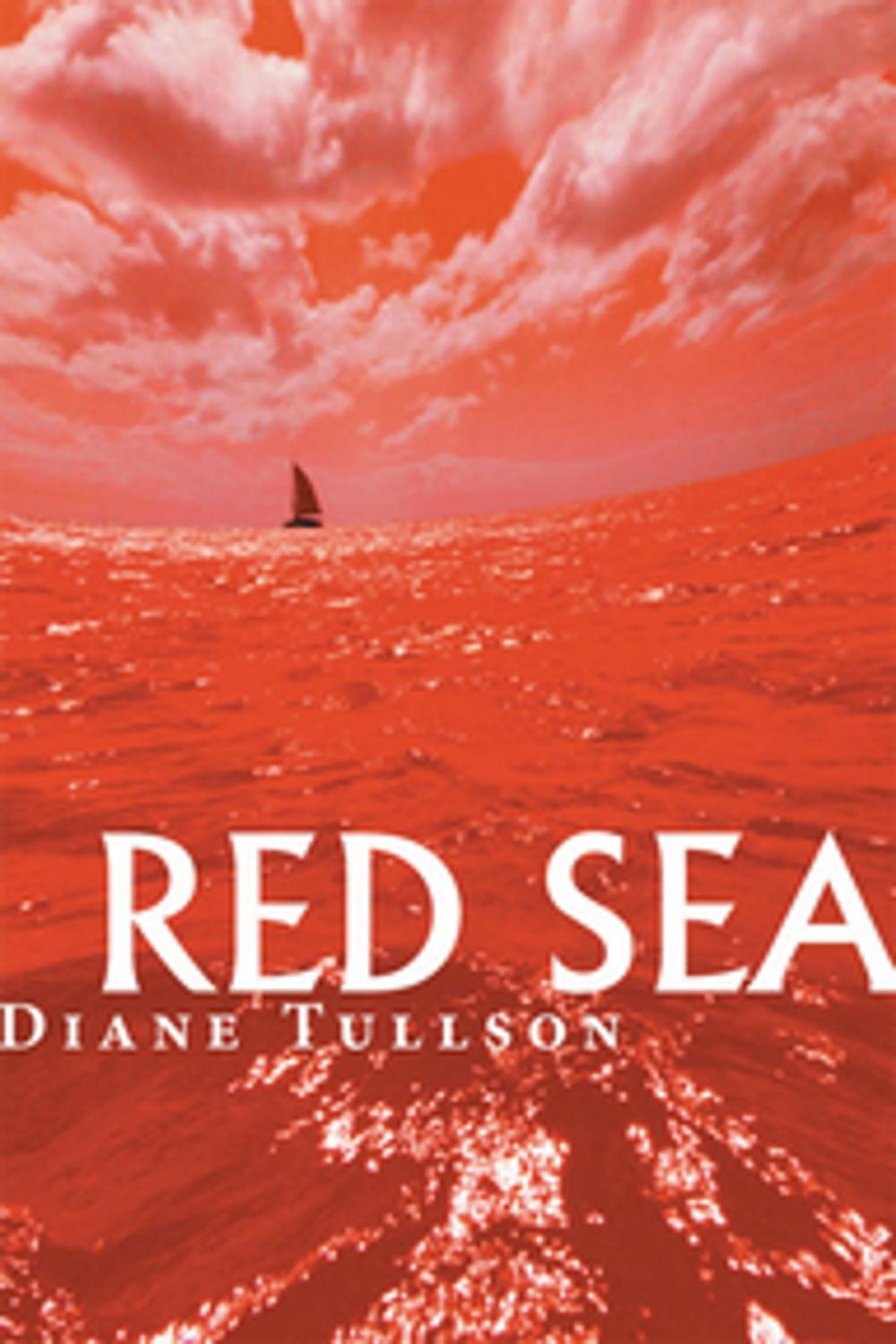 Big bigCover of Red Sea
