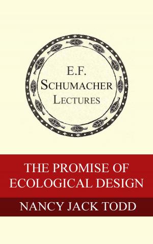 Cover of the book The Promise of Ecological Design by George McRobie, Hildegarde Hannum
