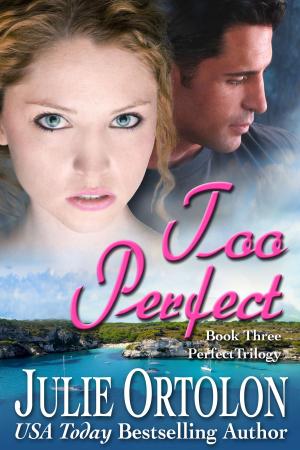 Cover of the book Too Perfect by Sharla Saxton